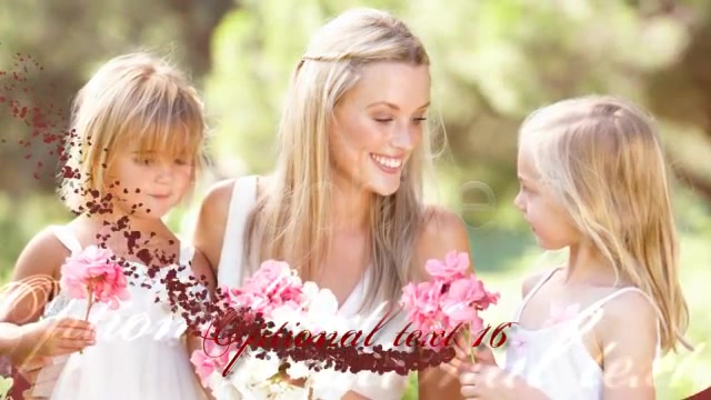 Wedding Hearts Slideshow Videohive 2360354 After Effects Image 11