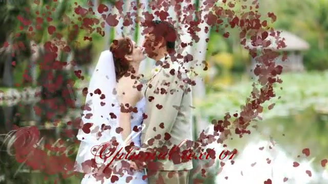 Wedding Hearts Slideshow Videohive 2360354 After Effects Image 2