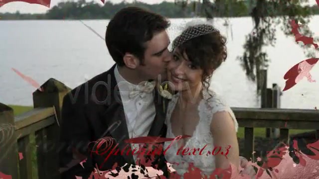 Wedding Hearts Slideshow Videohive 2360354 After Effects Image 3