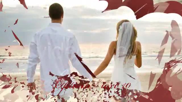 Wedding Hearts Slideshow Videohive 2360354 After Effects Image 7