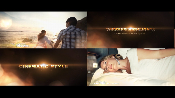 Wedding Highlights Trailer - Download Videohive 6903959