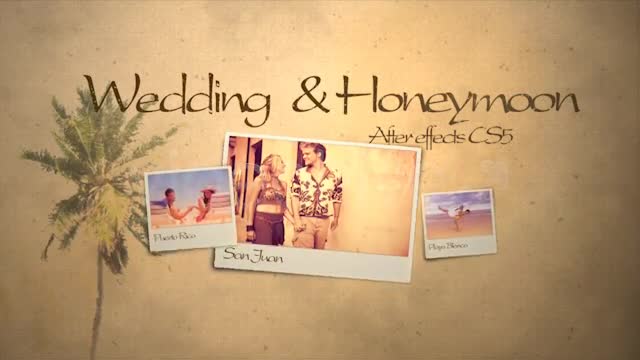 Wedding & Honeymoon - Download Videohive 3101891