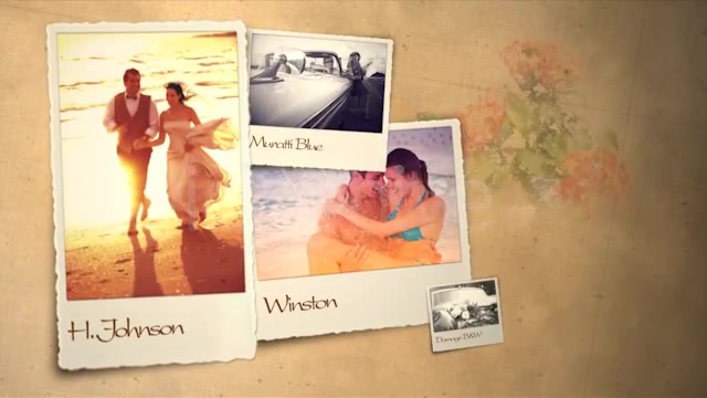 Wedding & Honeymoon - Download Videohive 3101891