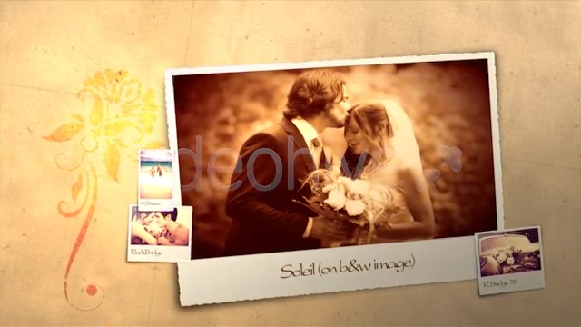Wedding & Honeymoon - Download Videohive 3101891