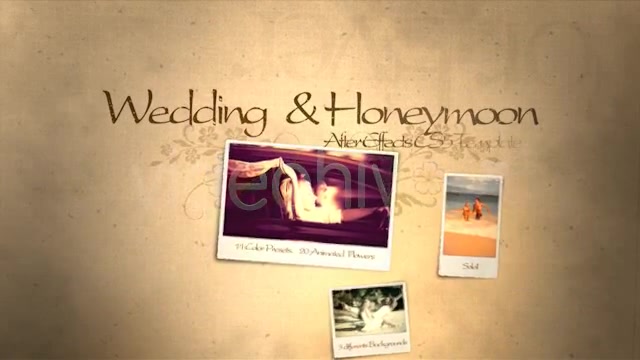 Wedding & Honeymoon - Download Videohive 3101891