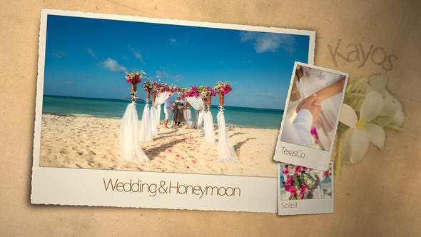 Wedding & Honeymoon - Download Videohive 3101891