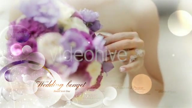 Wedding Impression - Download Videohive 9828444