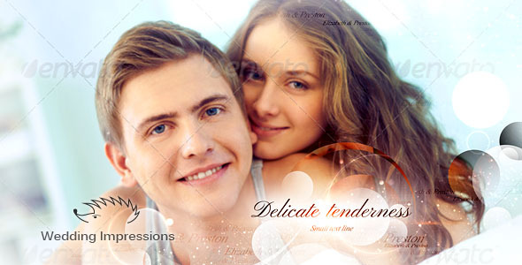 Wedding Impression - Download Videohive 9828444