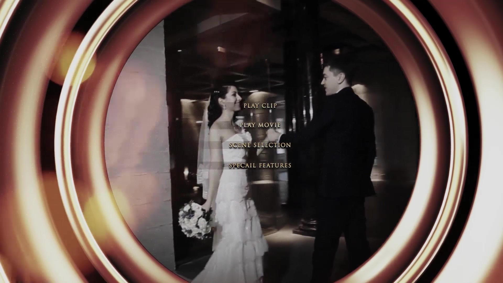 Wedding Intro And DVD Menu Videohive 21871148 After Effects Image 12