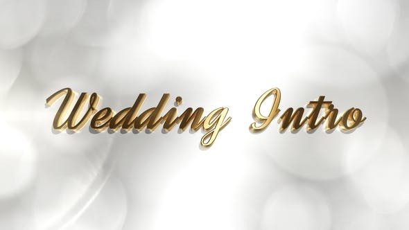 Wedding Intro - Download 21879185 Videohive