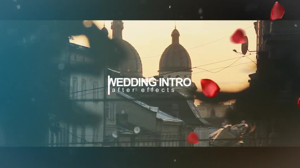 Wedding Intro - Download Videohive 14584906