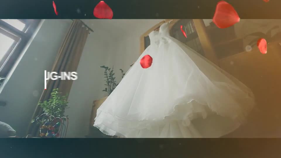 Wedding Intro - Download Videohive 14584906