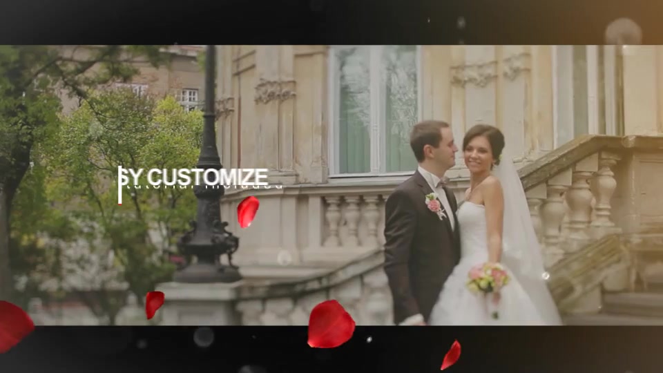 Wedding Intro - Download Videohive 14584906