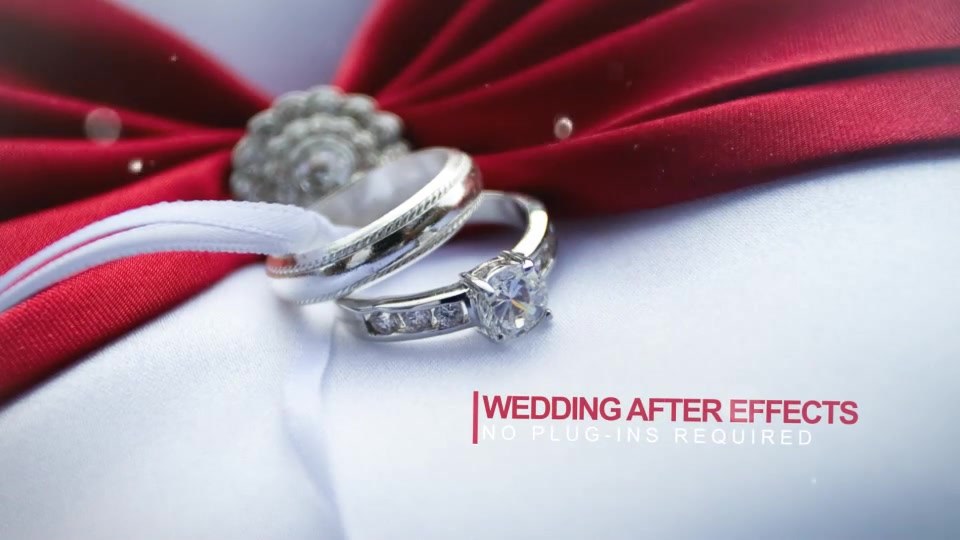 Wedding Intro - Download Videohive 14584906