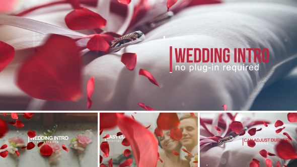 Wedding Intro - Download Videohive 14584906