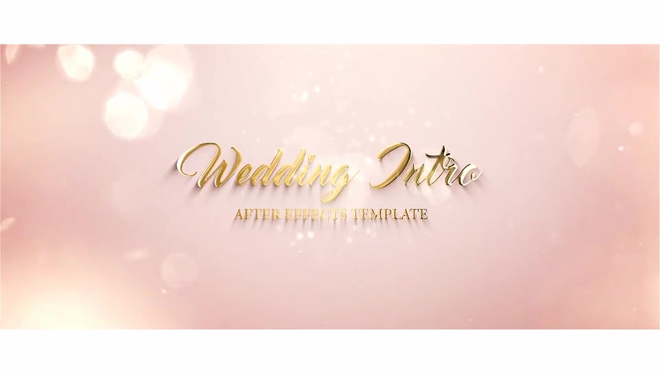 Wedding Intro - Download Videohive 19158867