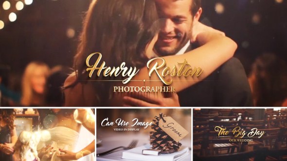 Wedding Intro - Download Videohive 19158867