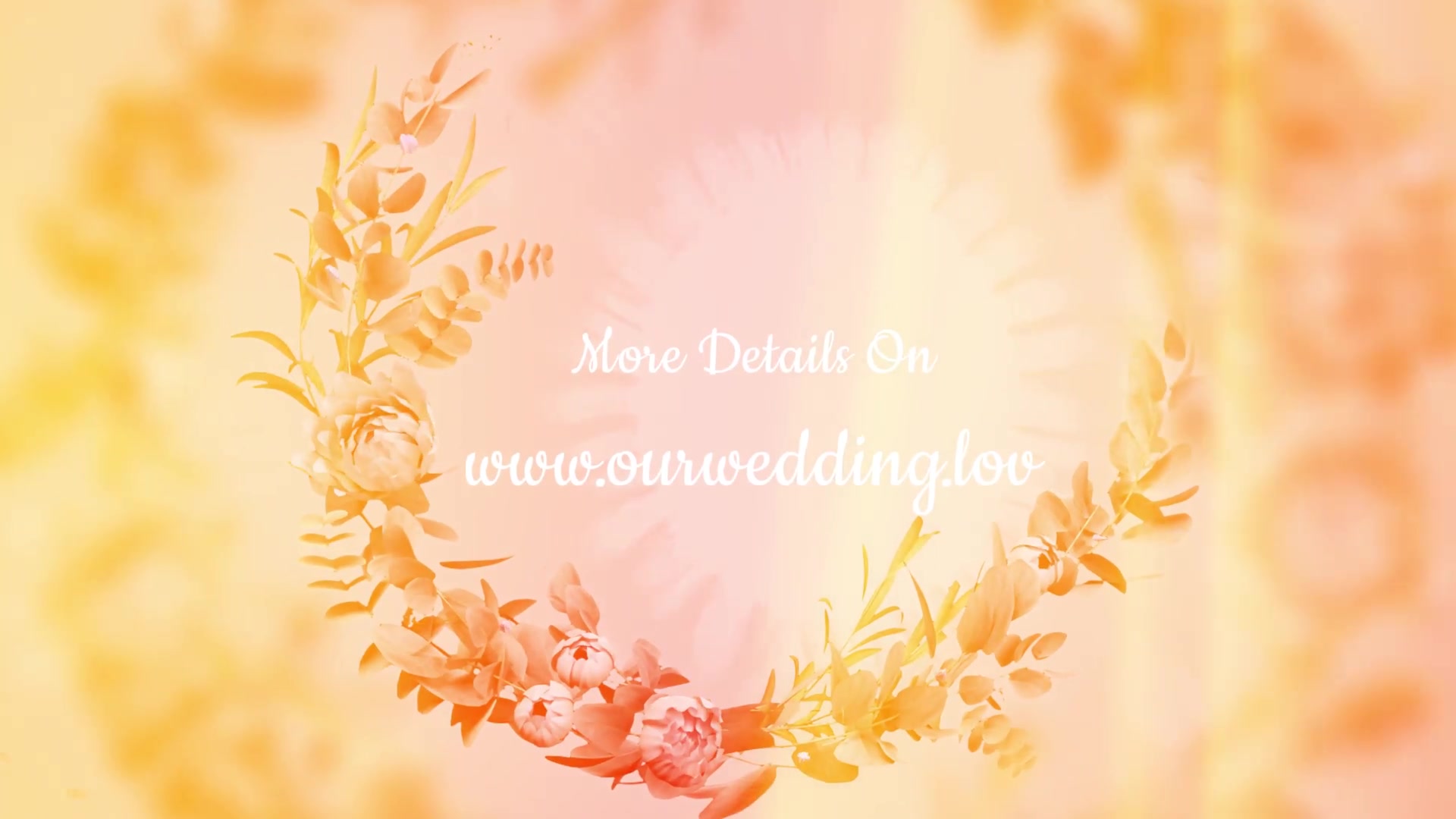 Wedding Invitation Videohive 35817447 After Effects Image 6