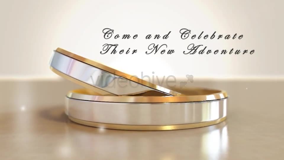 Wedding Invitation - Download Videohive 2533538