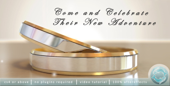 Wedding Invitation - Download Videohive 2533538