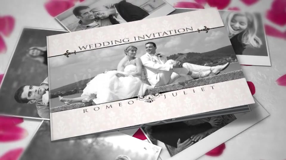 Wedding Invitation - Download Videohive 755943