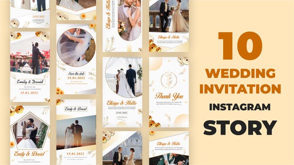 Wedding Invitation Instagram Stories - Videohive Download 34598388