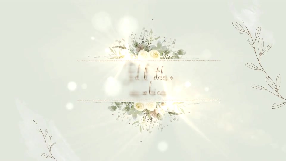 Wedding Invitation Pack Videohive 32884125 After Effects Image 3
