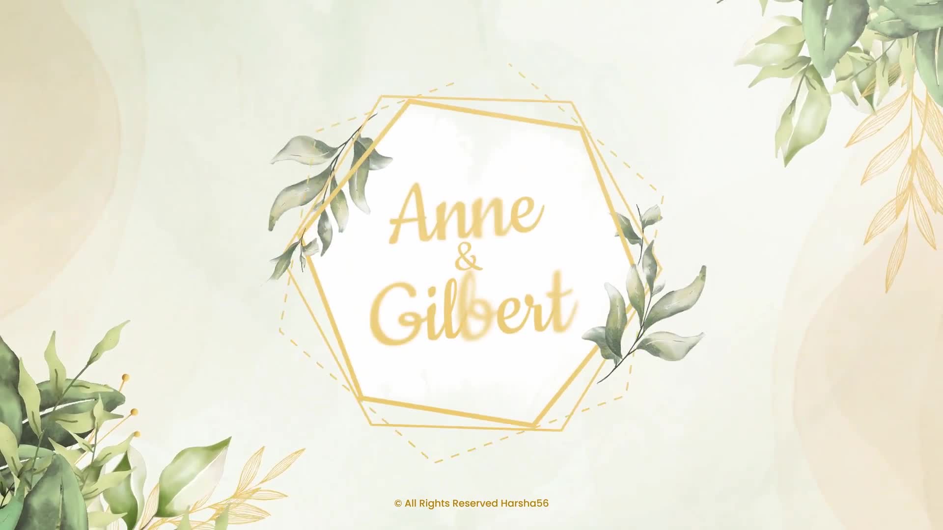 Wedding Invitation Videohive 33472811 After Effects Image 1