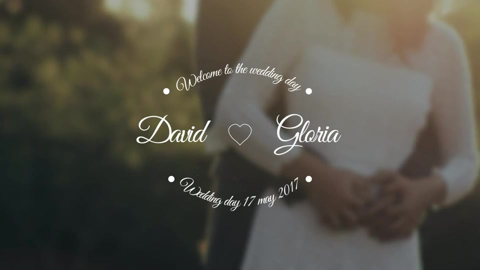 Wedding Labels Videohive 19414957 After Effects Image 7