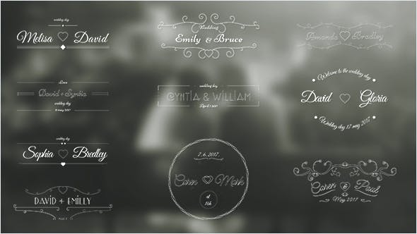 Wedding Labels - 19414957 Download Videohive