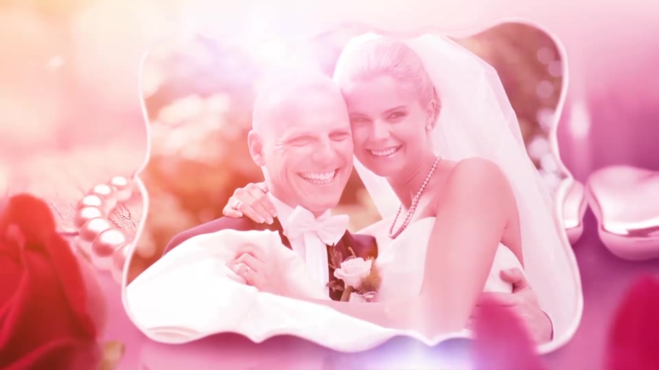 Wedding Love Story - Download Videohive 8219457