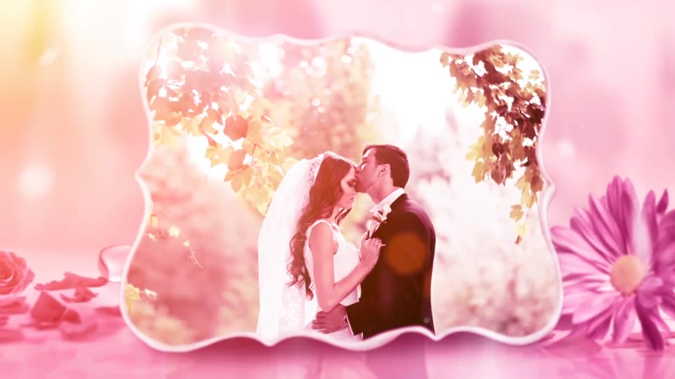 Wedding Love Story - Download Videohive 8219457