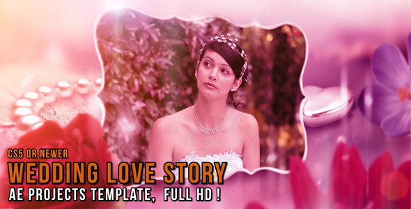 Wedding Love Story - Download Videohive 8219457