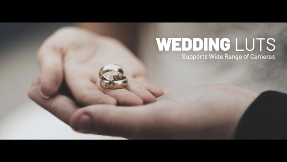 Wedding LUTs - Download 38370909 Videohive