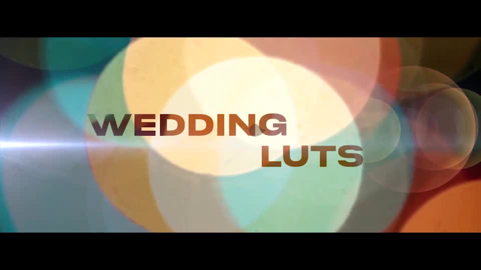 Wedding LUTs for Final Cut Videohive 39102147 Apple Motion Image 1