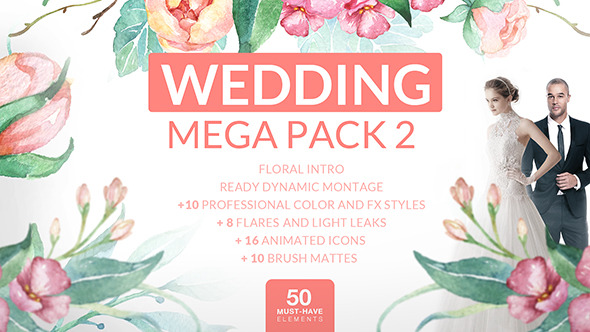 Wedding Mega Pack 2 - Download Videohive 12701122