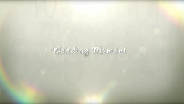 Wedding Moment - Download Videohive 423779