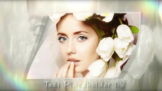 Wedding Moment - Download Videohive 423779