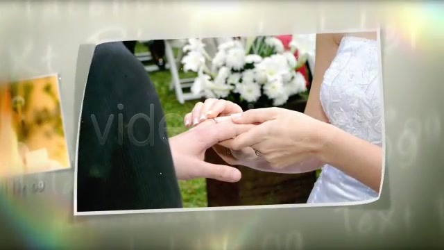 Wedding Moment - Download Videohive 423779