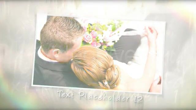 Wedding Moment - Download Videohive 423779