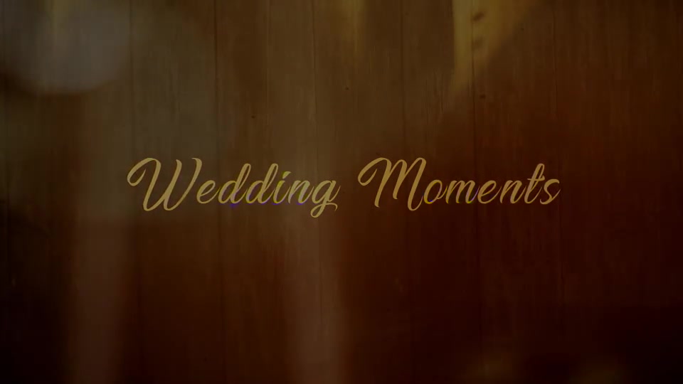 Wedding Moments - Download Videohive 20772508