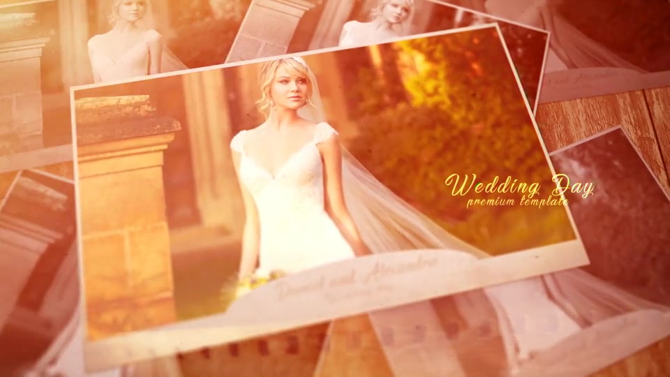 Wedding Moments - Download Videohive 20772508