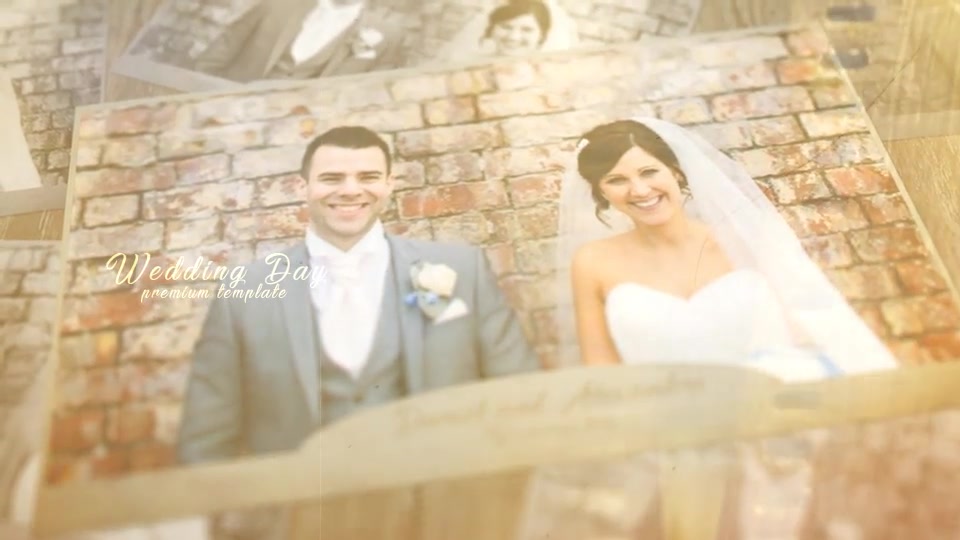 Wedding Moments - Download Videohive 20772508