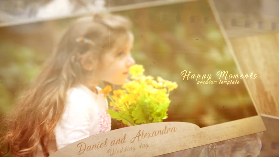 Wedding Moments - Download Videohive 20772508