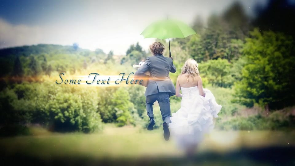Wedding Moments - Download Videohive 6462578