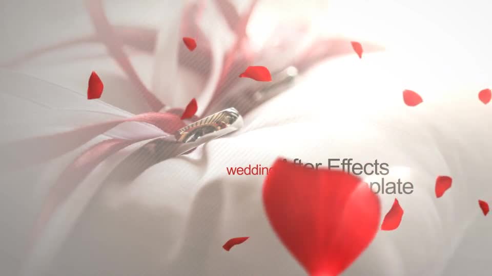 Wedding Opener - Download Videohive 10137243