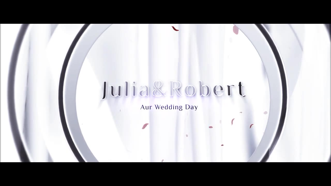 Wedding Opener - Download Videohive 12910634