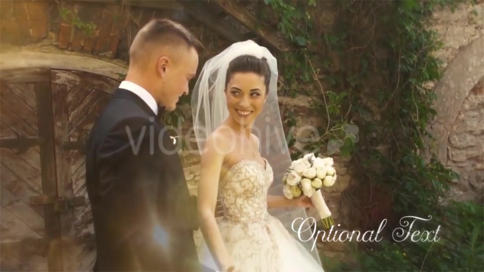 Wedding Opener / Valentines Intro Videohive 19338775 After Effects Image 11