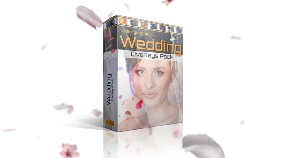 Wedding Overlays Pack - Download Videohive 21501053