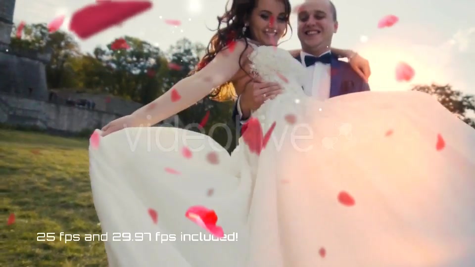 Wedding Overlays Pack - Download Videohive 21501053
